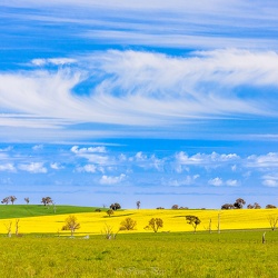 Landscapes