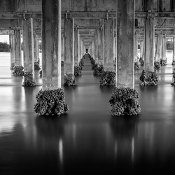 Black and White